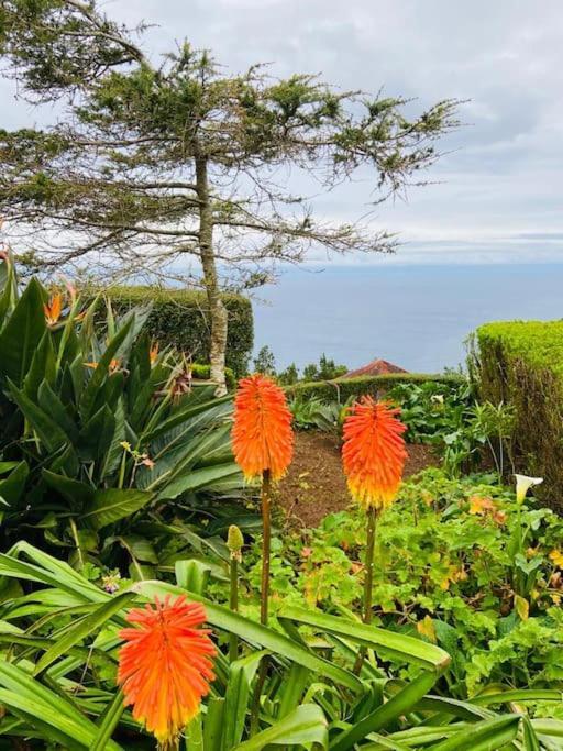 Azor International Apartment II Ponta Delgada  Luaran gambar